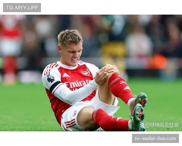 厄德高成长瓶颈解析：技术特点与战术适配如何决定其上限