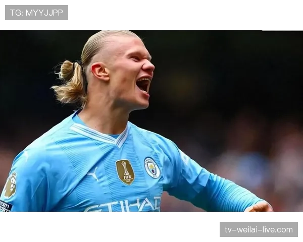 哈兰德冲击金球奖的结构性困境：团队荣誉短板与个人数据优势的失衡