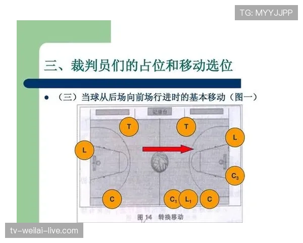 篮球规则详解：裁判判罚流程的标准机制